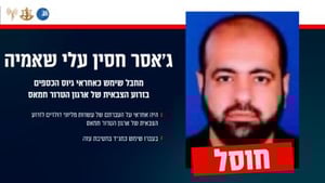 הכלב שחוסל