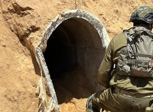 הפיר שהותר