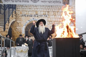 ל"ג בעומר בחצה"ק צאנז
