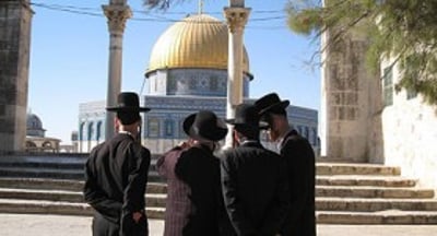 חרדים בהר-הבית (צילום ארכיון: כיכר השבת)