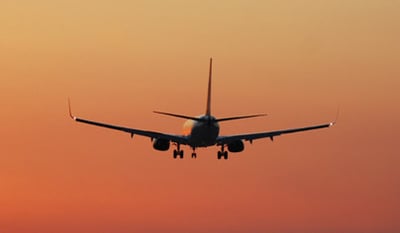 בדרך לציונו של הפלא יועץ: אילי ההון עוכבו בנתב"ג