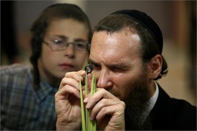 שוק ארבעת המינים המרכזי של העיר אלעד - במרכז רימון!