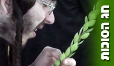 רוצים להיכנס לאווירת החג? צפו בוידאו