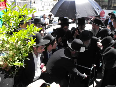 לְהַנּוֹת בָּהֶם בְּנֵי אָדָם: הגרי"ש אלישיב ב"ברכת האילנות"