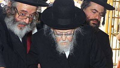 הרב אלישיב