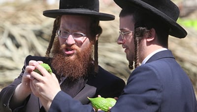 אילוסטרציה