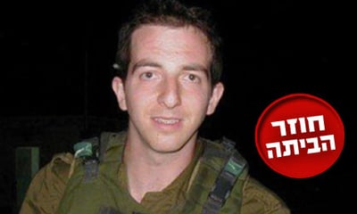 אילן גרפל