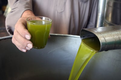 לא שמן ולא זית. בדיקת מעבדה.
