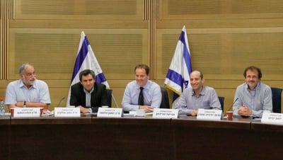 דיוני הוועדה