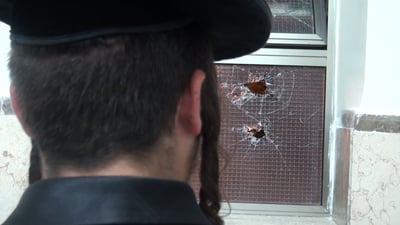 הבחור שהותקף