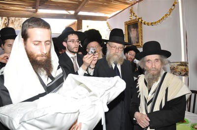 סוכות אצל גדולי ישראל: אירוח המוני והמון שמחה