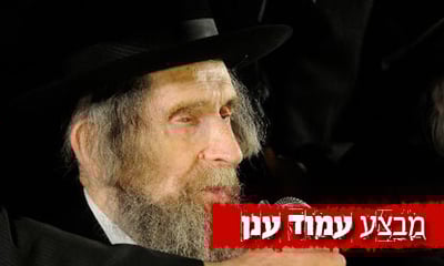 מרן הגראי"ל שטיינמן