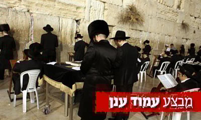 מתפללים בכותל המערבי
