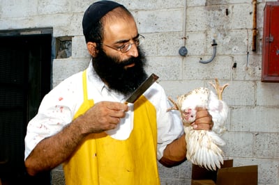 שחיטה יהודית