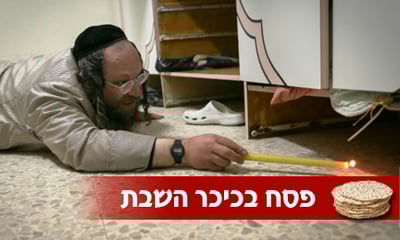 בדיקתחמץ