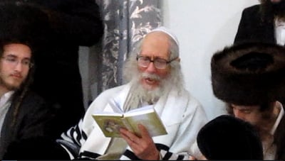 הרב אליעזר ברלנד וחסידיו במרוקו בחתונת נכדו • צפו