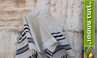 30 אלף איש בברכת כהנים • וידאו וגלריה