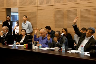 הצבעה בוועדת שקד