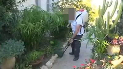 המדביר מעיד: "חומר שהורג" • צפו