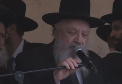 צפו בוידאו בלעדי: החלטות "עצרת המיליון"