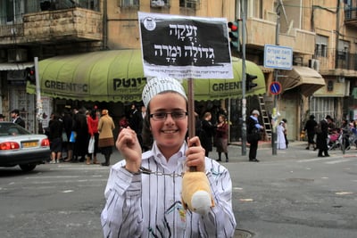 תיעוד: תחפושות על רדיפת התורה