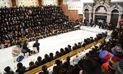 פורים בחצר הקודש צאנז • גלריה