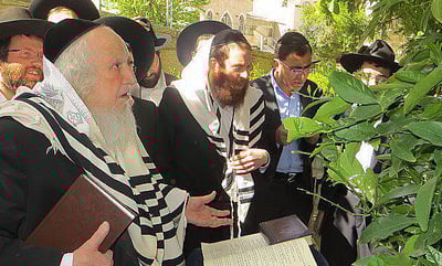 תיעוד: הרב שמואל אוירבך בברכת האילנות