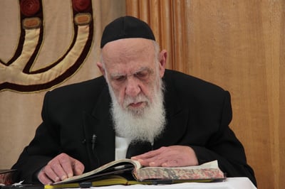 הגאון רבי שלום כהן, הצהריים