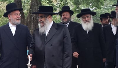 האדמו"ר מסאטמר
