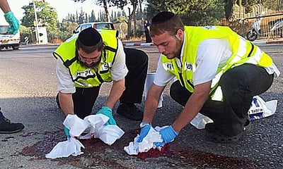 צוות זק"א