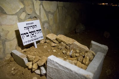 קברה של הפעוטה חיה זיסל בראון הי"ד