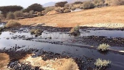 האסון האקולוגי בערבה: ספיגת הנפט תחריף בגלל הגשם