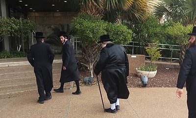 האדמו"ר מבעלזא בטרקלין מצדה, הבוקר