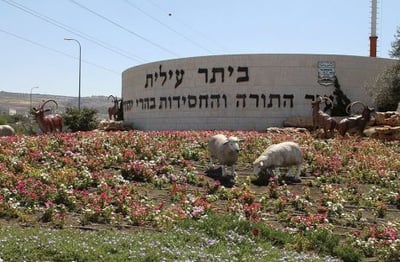 למה עובדי עיריית ביתר עלית ישבתו?