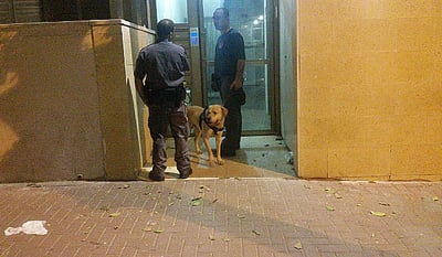 זירת האירוע