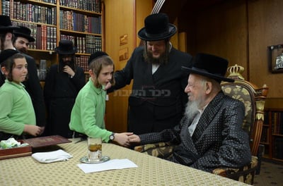 כ"ק האדמו"ר מסערט ויז'ניץ בקבלת קהל, אמש