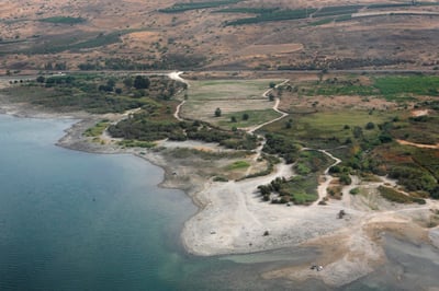 הכינרת