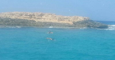 חילוץ הנערים