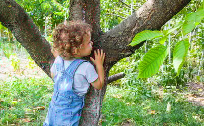אילוסטרציה