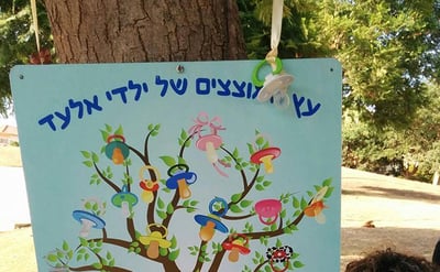 עץ המוצצים