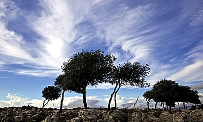 יום אחד שאנחנו יכולים להיות ממש מלאכים