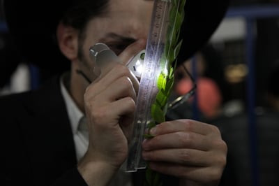 וּלְקַחְתֶּם לָכֶם: שוק ארבעת המינים, תיעוד לילי
