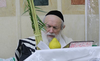 הושענא רבה במחיצת הגאון רבי יצחק זילברשטיין. צפו