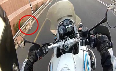 צפו בווידאו: שוטר מסייע לכלבה במצוקה