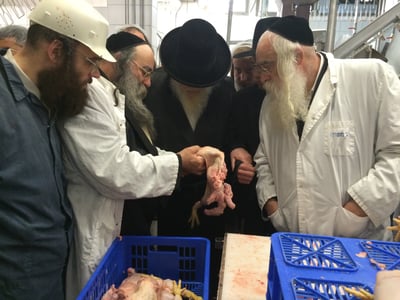 הראב"ד במשחטה, היום