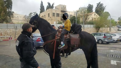 הילד והסוס, אתמול