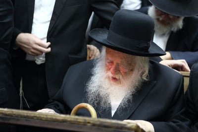מילי דמיטב..