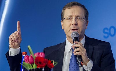 הרצוג