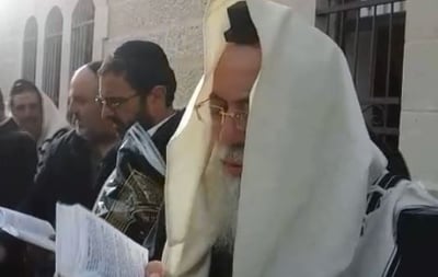 בדמעות: רבה של ירושלים הגר"ש עמאר ב"ברכת האילנות"