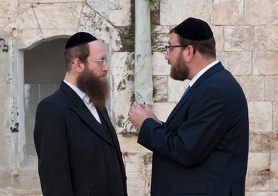 יועצים לאור